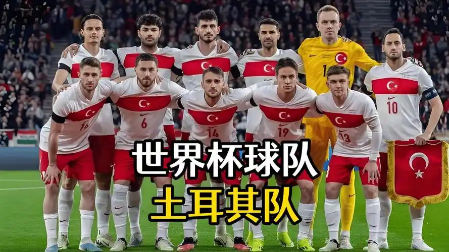 世界杯D组大乱斗：四队实力伯仲之间，土耳其青年军掀起新风暴